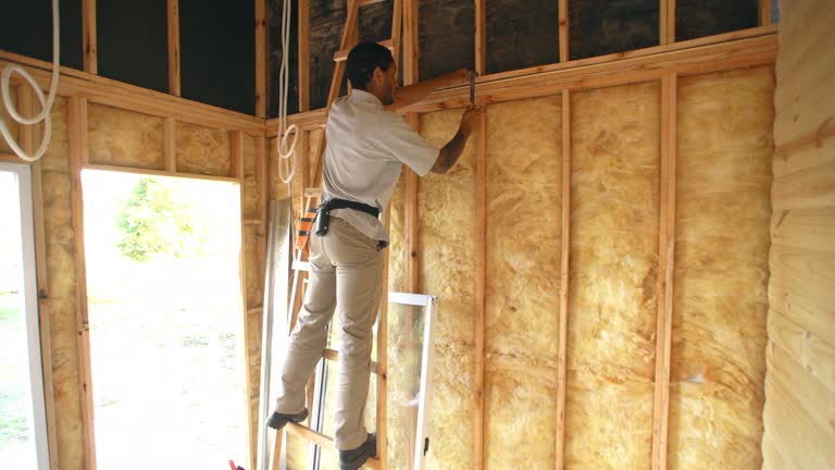 Insulation Air Sealing